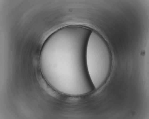 X0000113911513200909241253