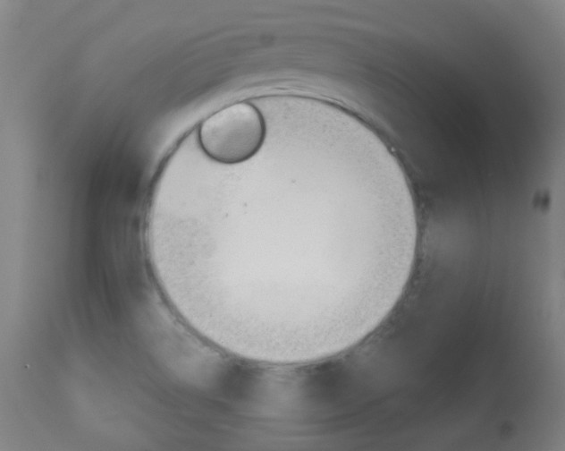 X0000113911514200909241253