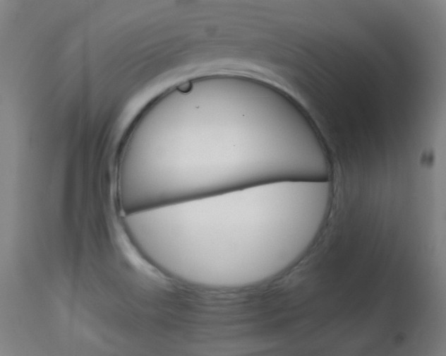 X0000113911515200909241253