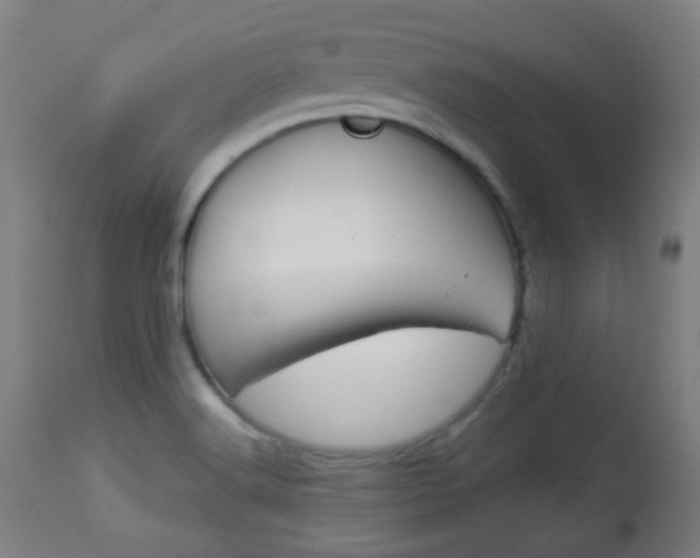 X0000113911516200909241253