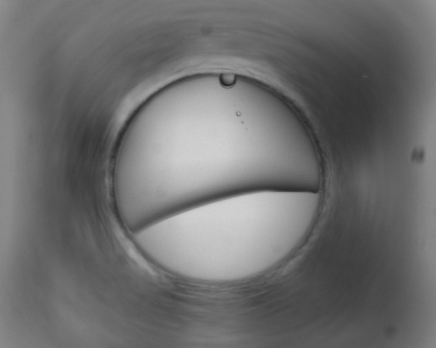 X0000113911517200909241253