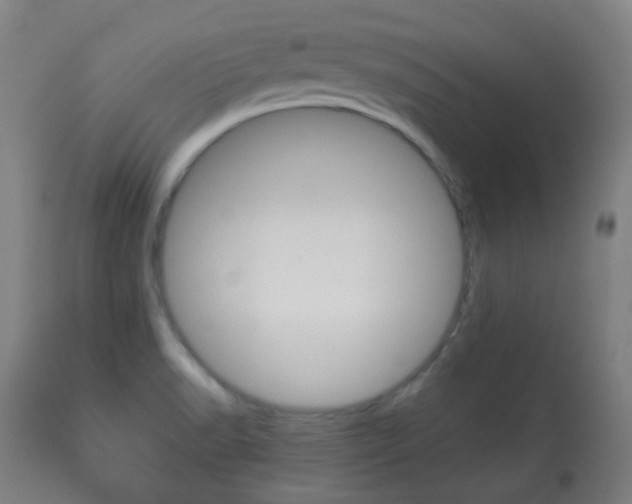 X0000113911518200909241253