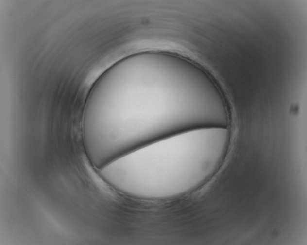 X0000113911521200909241253