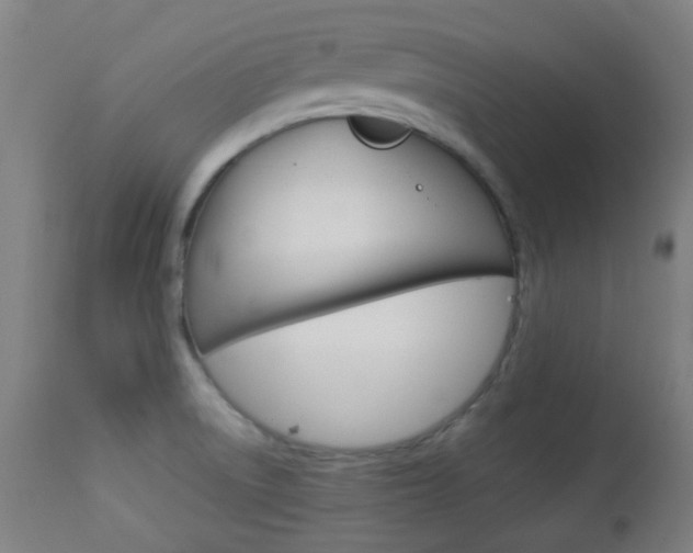 X0000113911522200909241253
