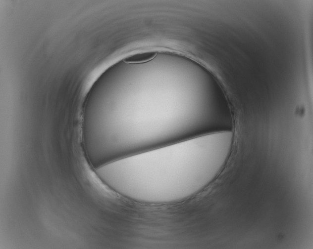 X0000113911524200909241253