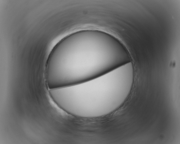 X0000113911527200909241253