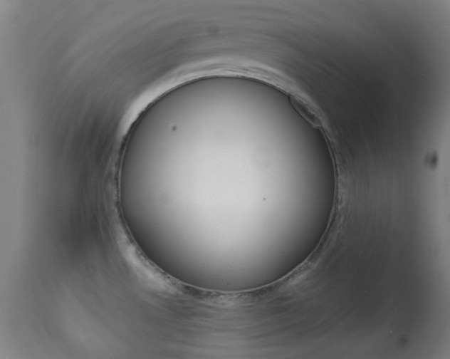 X0000113911530200909241253