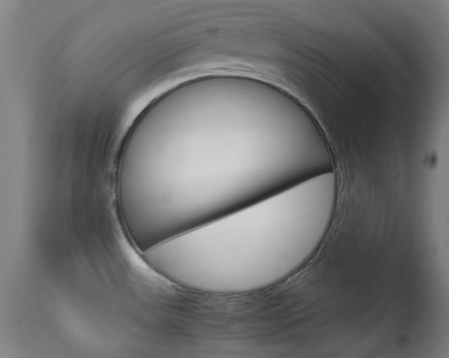X0000113911531200909241253