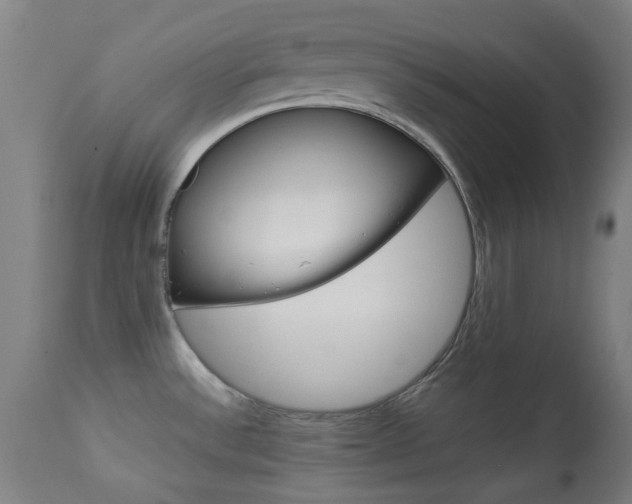 X0000113911532200909241253