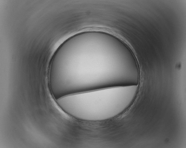 X0000113911533200909241253