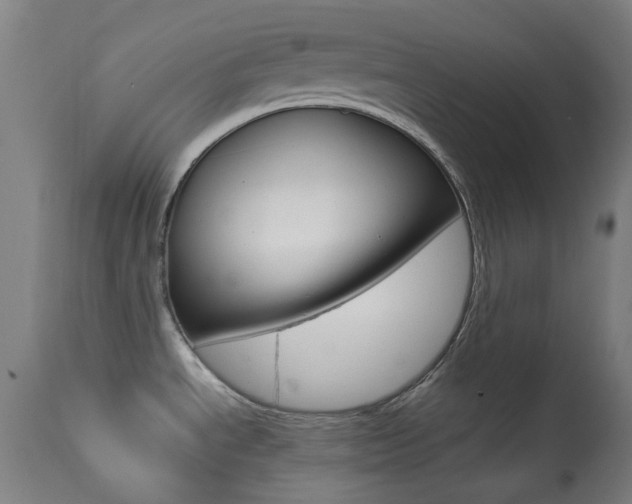 X0000113911534200909241253