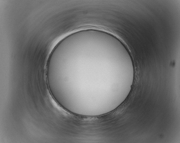 X0000113911535200909241253