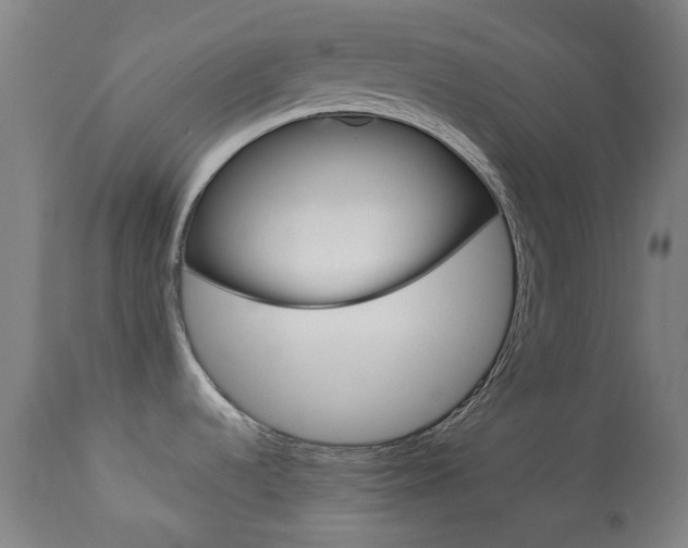 X0000113911536200909241253