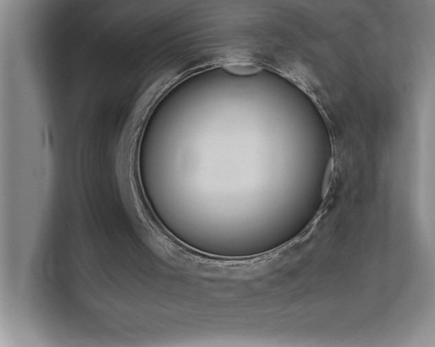 X0000113910001200909241519