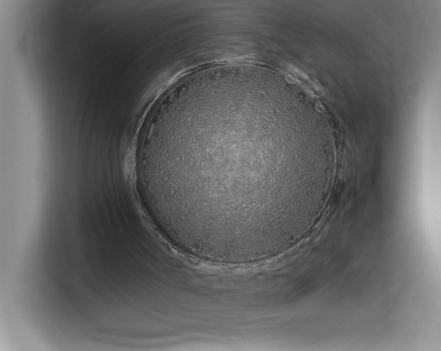 X0000113910002200909241519