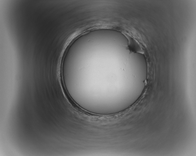 X0000113910003200909241519