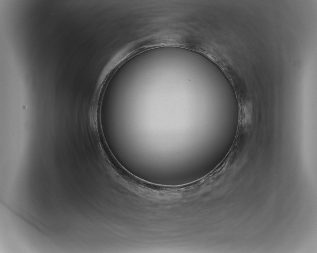 X0000113910004200909241519