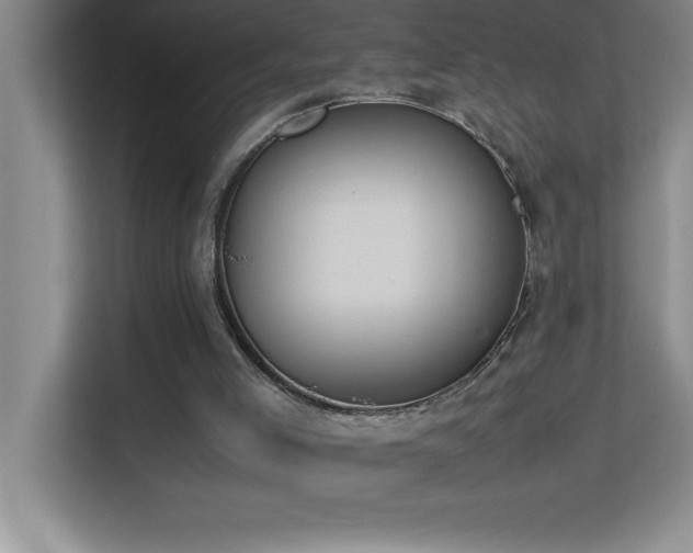 X0000113910005200909241519