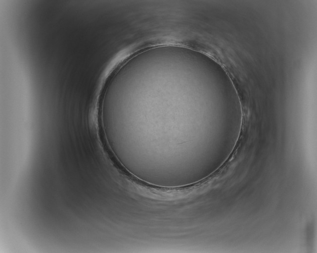 X0000113910006200909241519