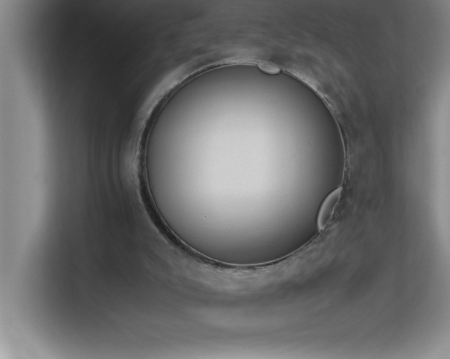 X0000113910007200909241519