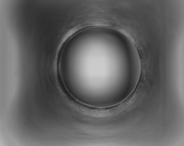 X0000113910008200909241519