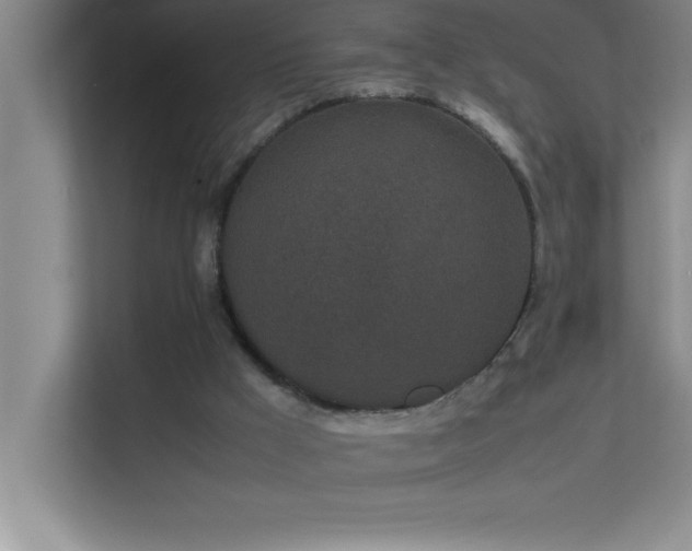 X0000113910009200909241519