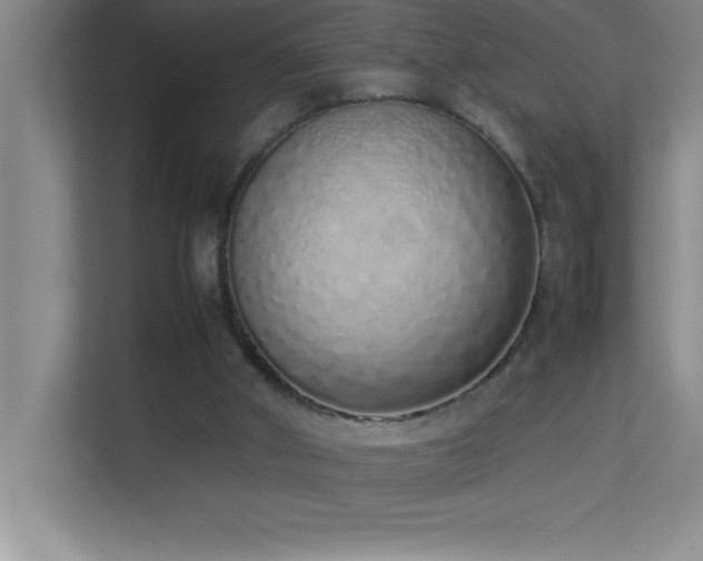 X0000113910010200909241519