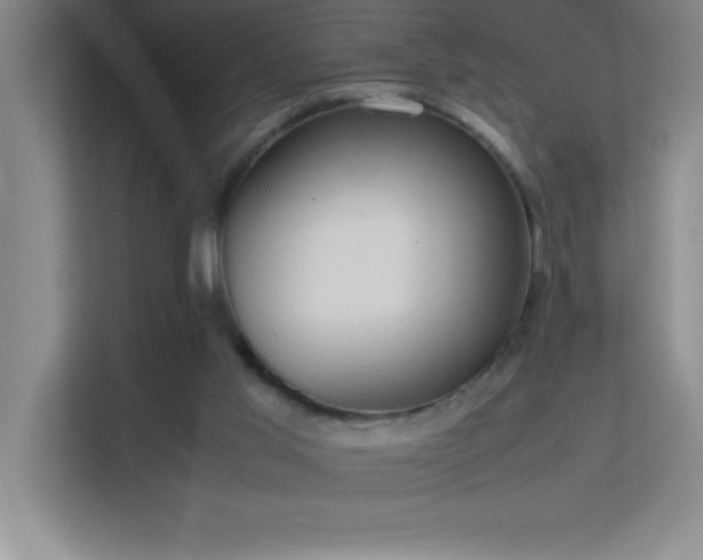 X0000113910013200909241519