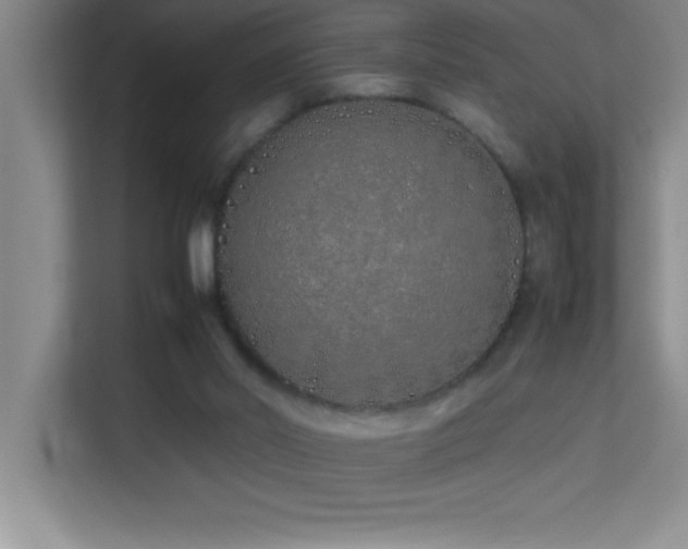 X0000113910014200909241519