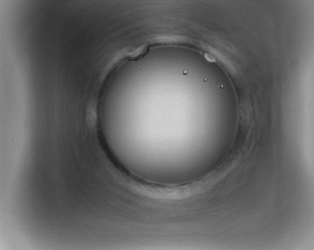 X0000113910015200909241519
