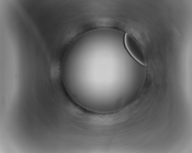 X0000113910017200909241518