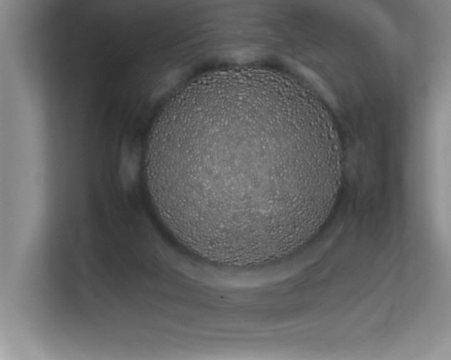 X0000113910018200909241518