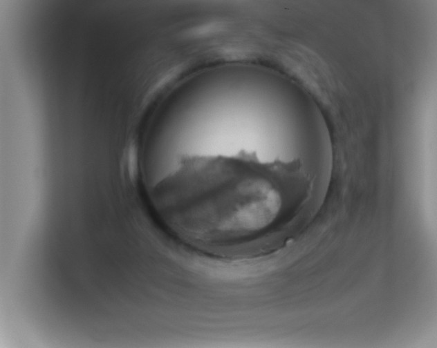 X0000113910019200909241518