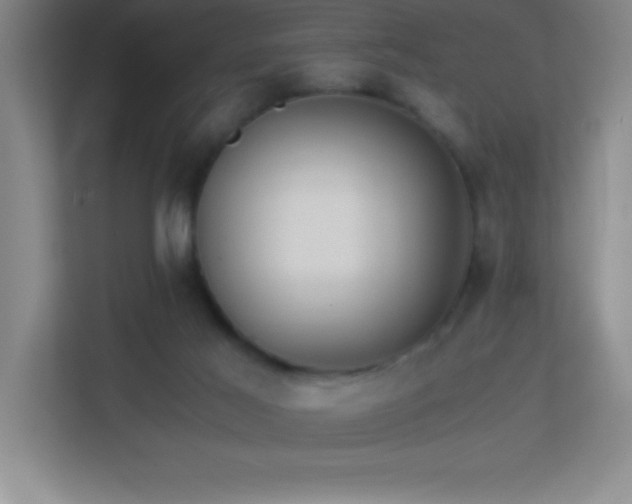 X0000113910021200909241518