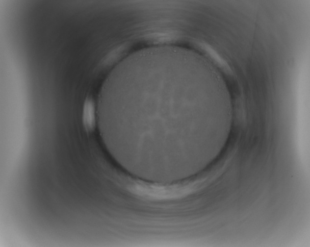 X0000113910022200909241518