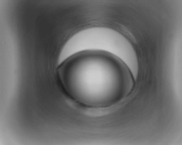 X0000113910025200909241518