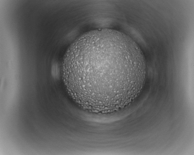 X0000113910026200909241518