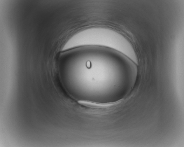 X0000113910029200909241518