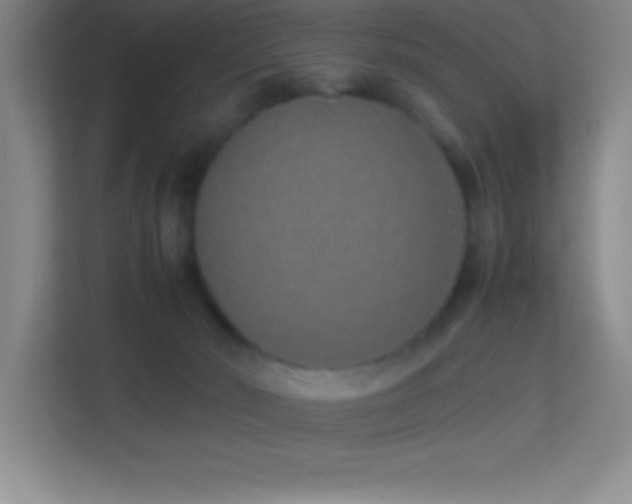 X0000113910030200909241518