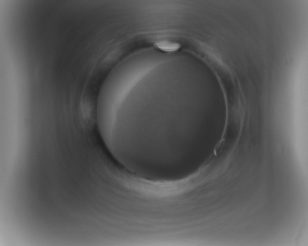 X0000113910031200909241518