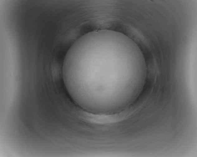 X0000113910034200909241518