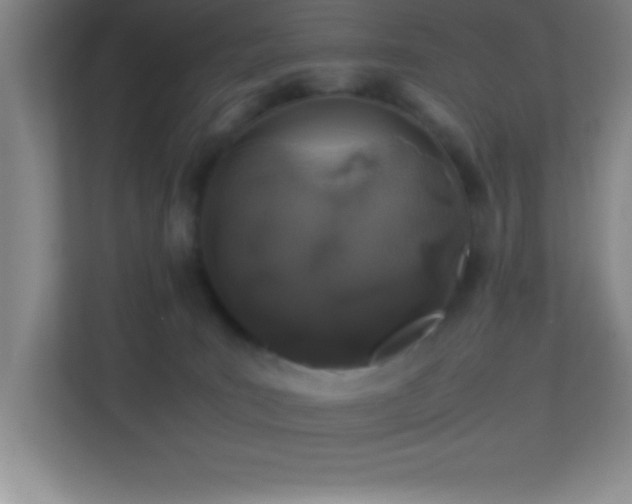X0000113910035200909241518