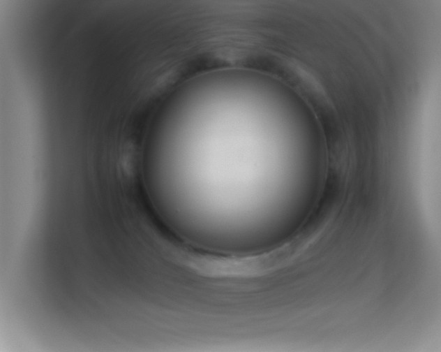 X0000113910036200909241518