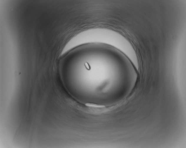X0000113910037200909241518