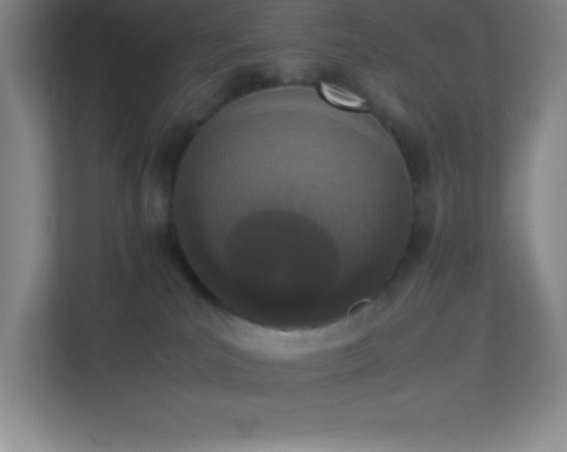 X0000113910039200909241518