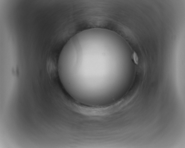 X0000113910040200909241518