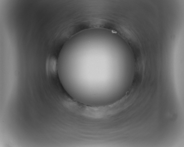 X0000113910041200909241518