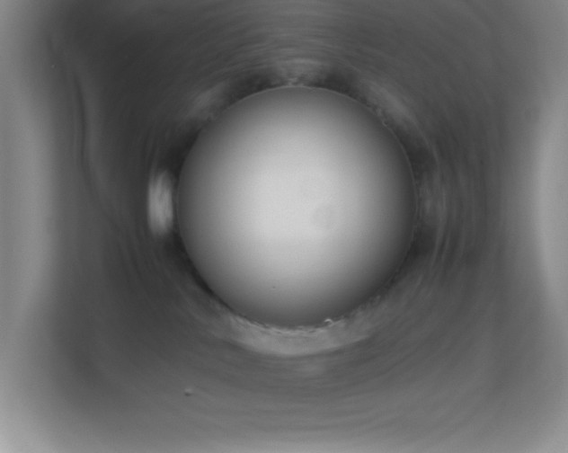 X0000113910042200909241518