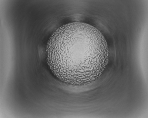 X0000113910043200909241518