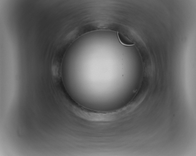 X0000113910044200909241518